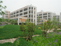 郑州一中国际部校园绿化环境