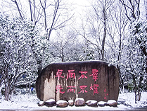 苏州国际外语学校雪景
