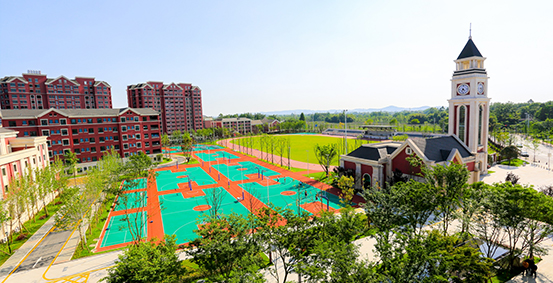 新津成外图片展示