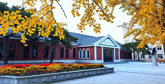 东北大学OSSD国际教育中心图片展示