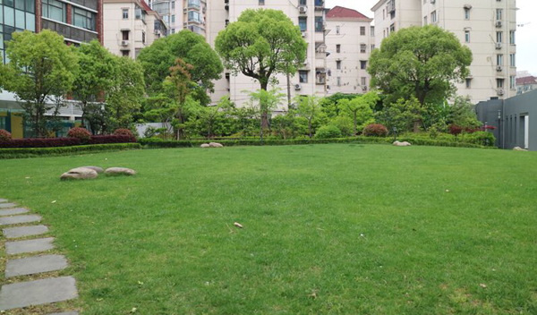 美国林登中学上海分校校园环境