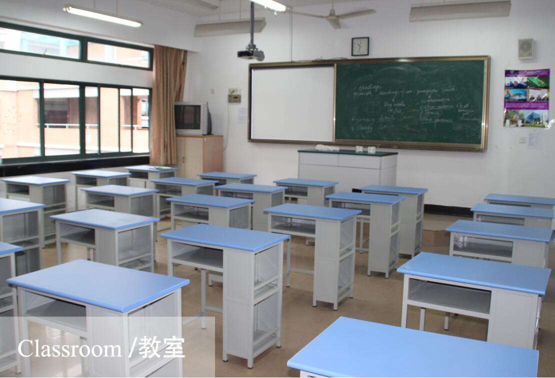 上海新和中学国际部图片