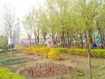 北京爱迪校园环境设施