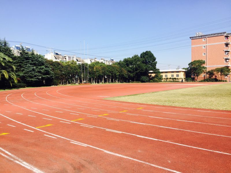 上海领科国际学校图片