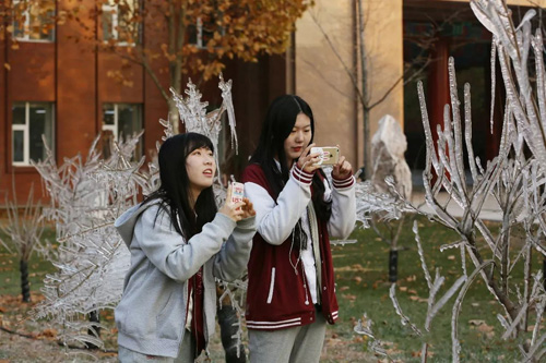 北京王府学校环境——美丽的校园秋景