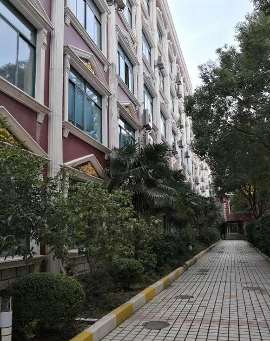 上海燎原学校新生入学印象