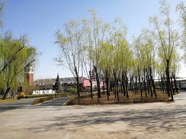 北京朝阳区爱迪国际学校校园环境