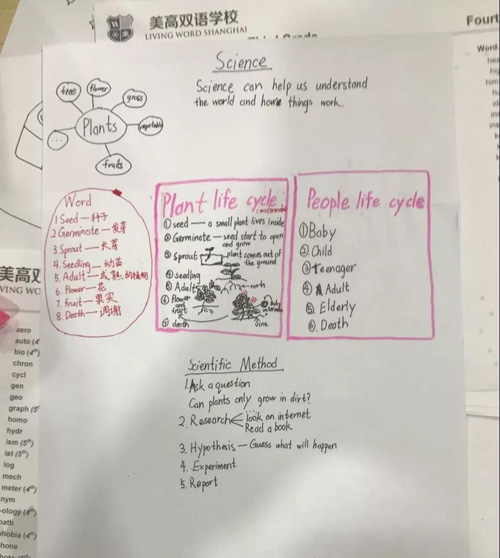 上海美高双语学校暑期桥梁课程，让孩子科学衔接新学期