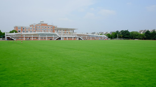 领科教育上海校区足球场