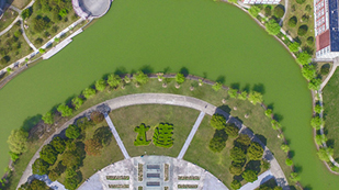 双威公学上海校区校园绿化环境