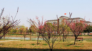 双威公学上海校区校园植物