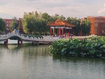 北京东方红学校池塘