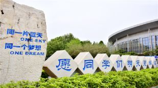 郑州市第四十七中学国际部文化石