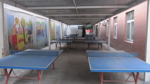 杭州二中树兰高级中学国际部乒乓球室