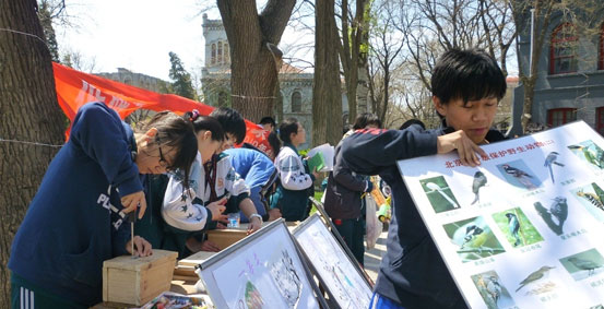 潞河中学国际部