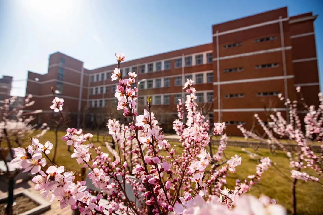 天津泰达枫叶国际学校景色.jpg