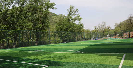 沈阳加拿大外籍人员子女学校图片展示