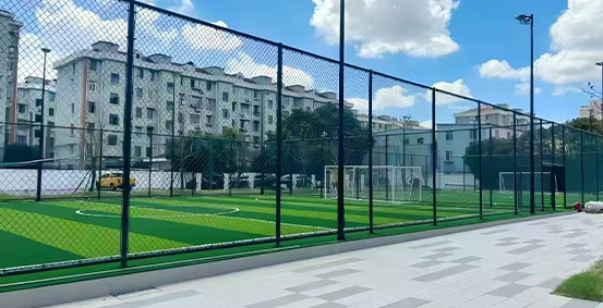 上科国际融合高中图片展示