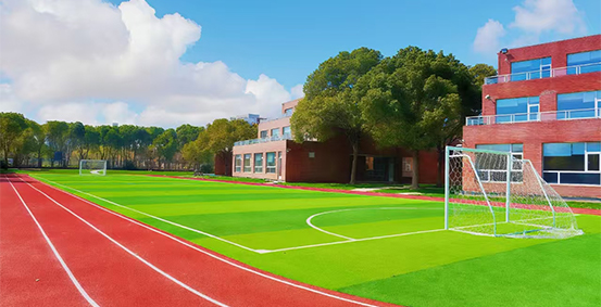 上海东领.SDS图片展示