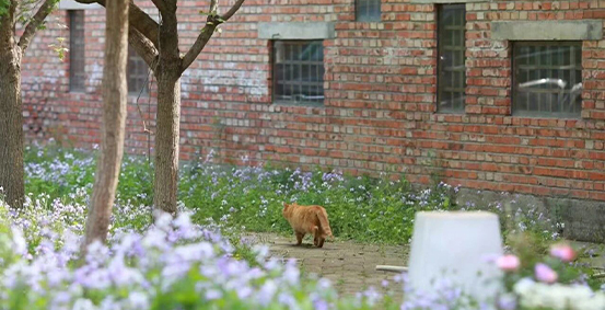 北京日日新学堂图片展示