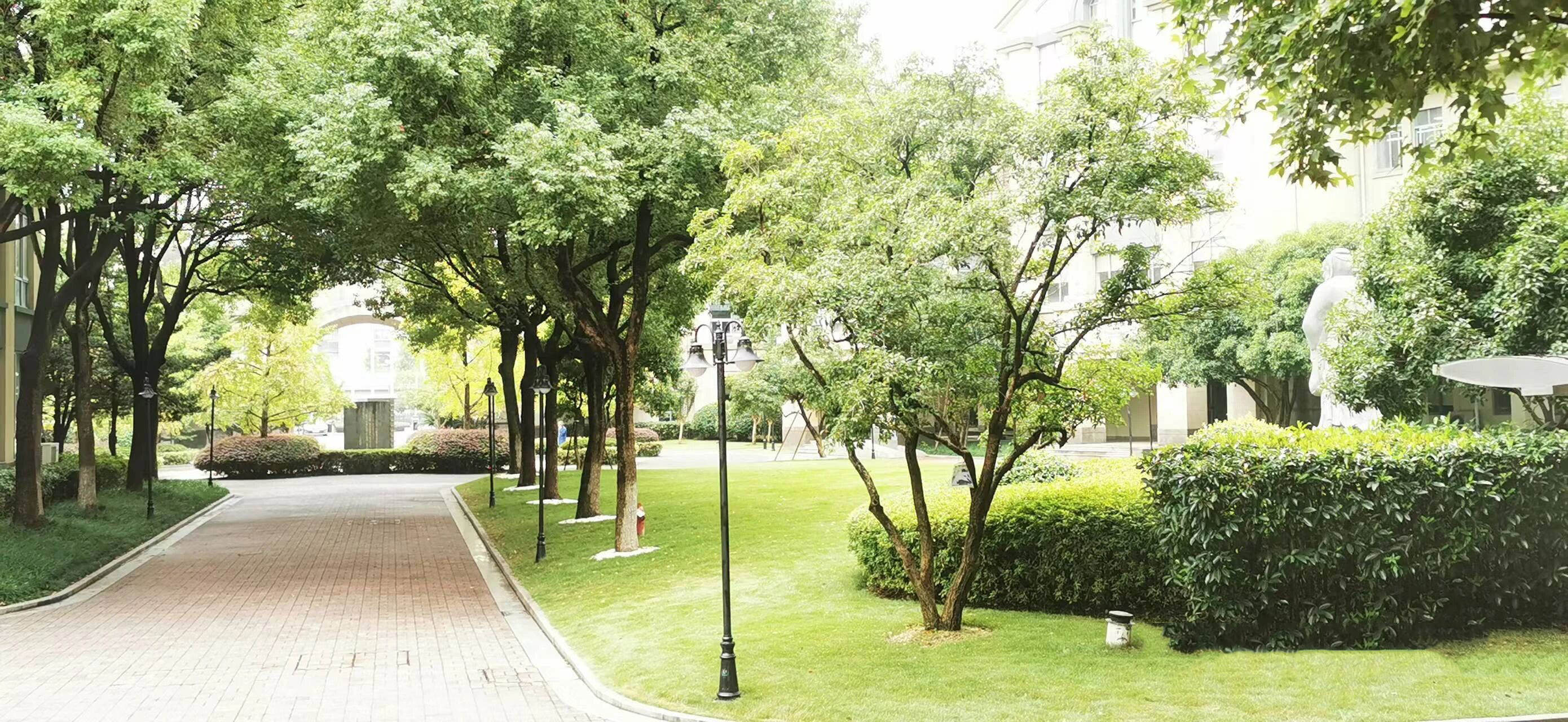 新加坡SSIP杭州学校校园一角