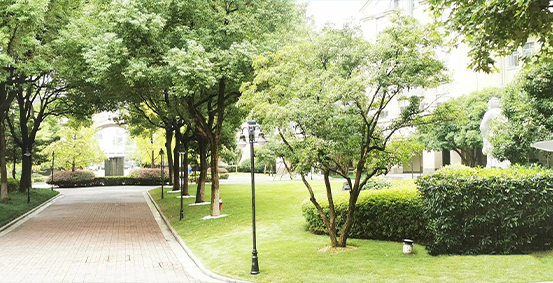 新加坡SSIP杭州学校图片展示