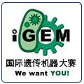 STEAM特色国际交流活动：iGEM国际遗传机器人大赛