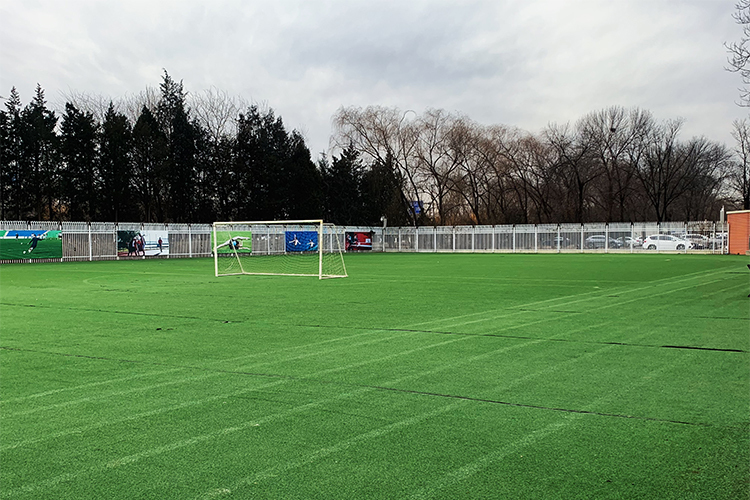 北京市星元学校