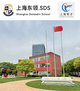 上海东领.SDS