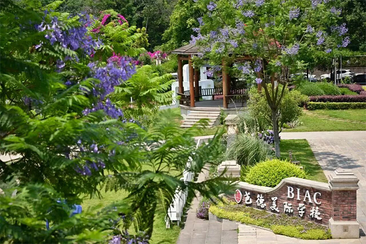 成都润德英才学校（原芭德美际）